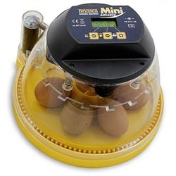 mini-incubator automatic turning